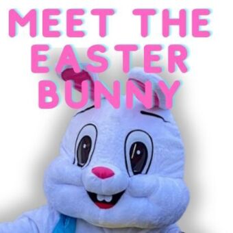 Meet the E Bunny 810 x 450 px 2