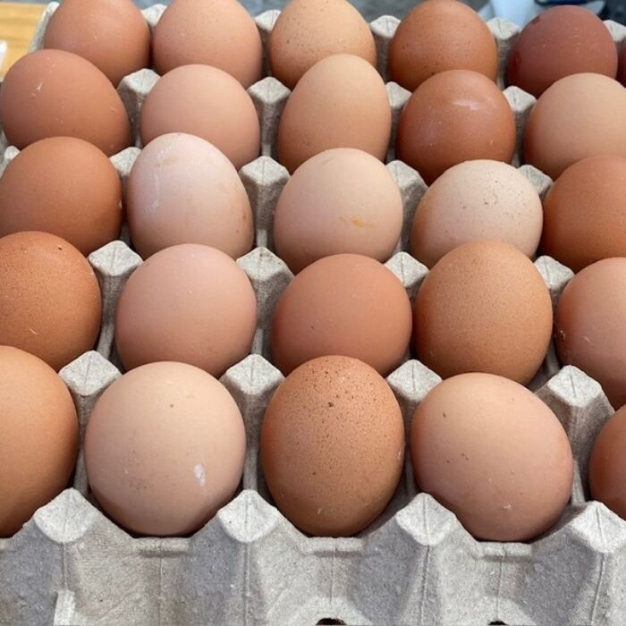 Eggs 1