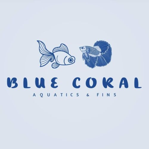 Bluecoral